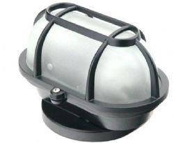 Tartaruga tradicional pequena